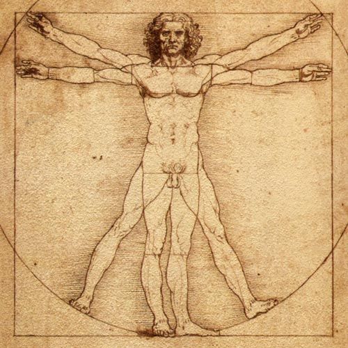 17574745_vitruvian_man