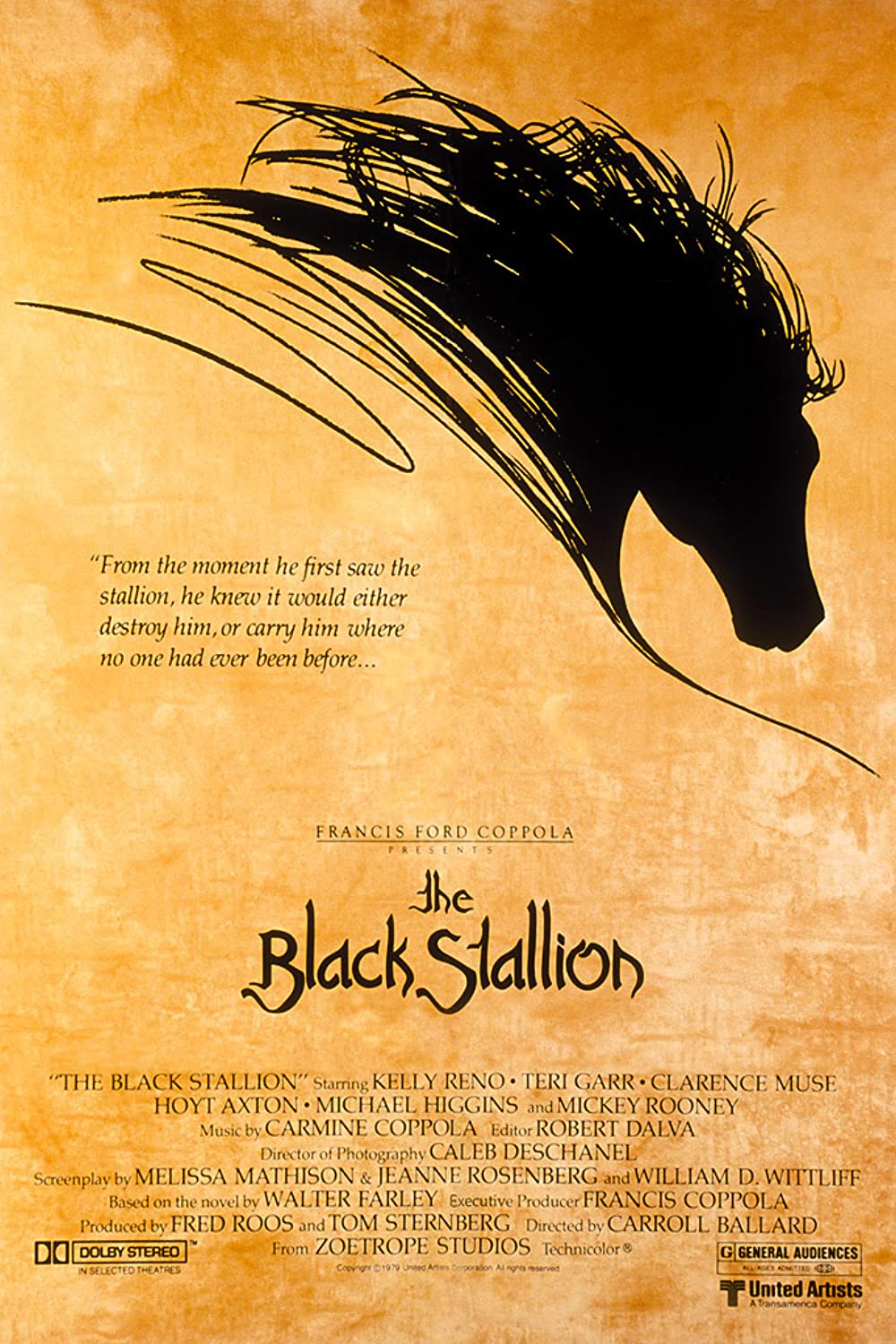 black_stallions